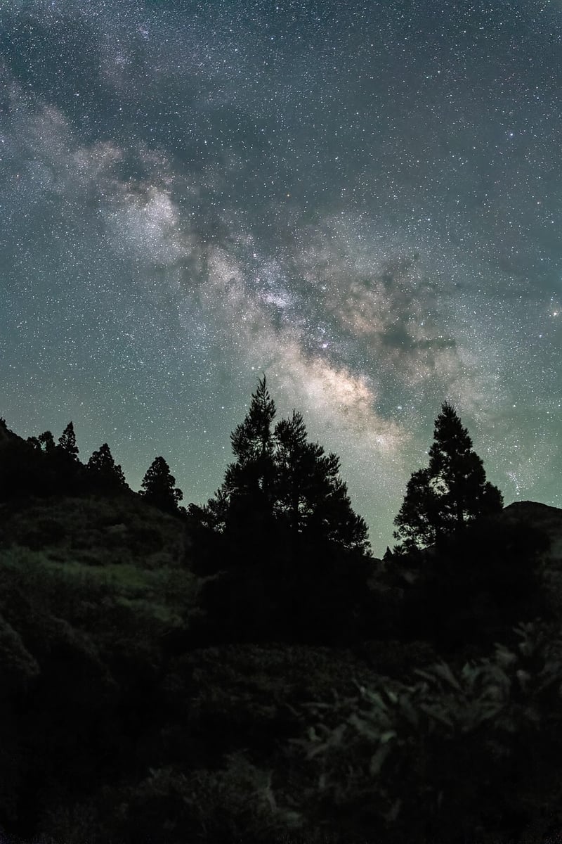 Self-Love Milky Way